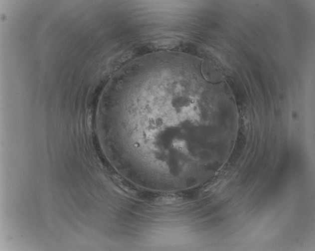 X0000075900745200609221936