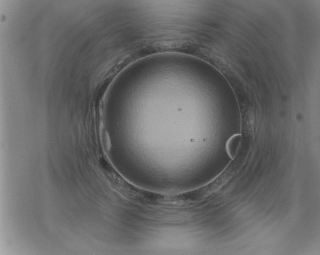 X0000075900746200609221936