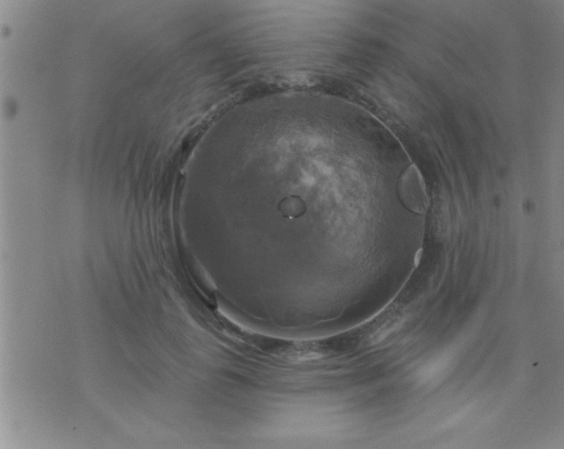 X0000075900747200609221936