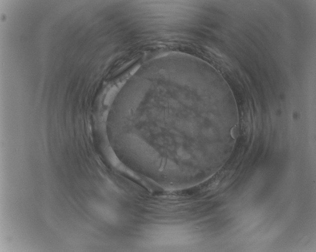 X0000075900749200609221936