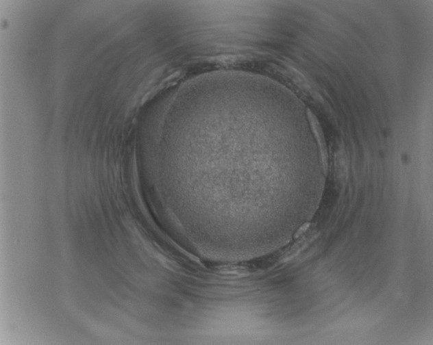 X0000075900750200609221936