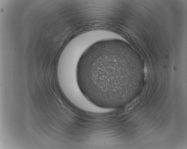 X0000075900751200609221936