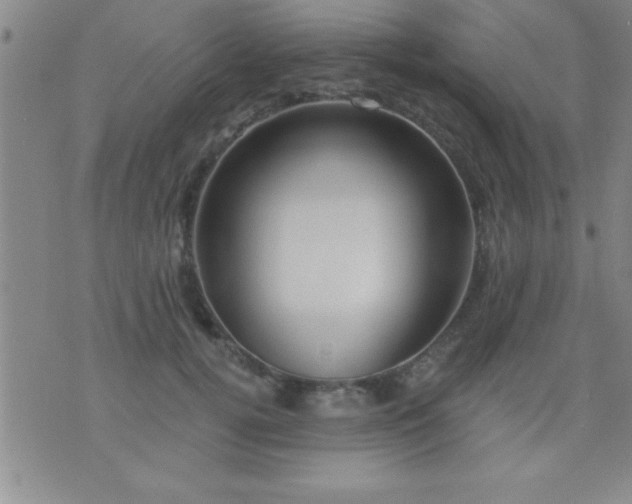 X0000075900752200609221936