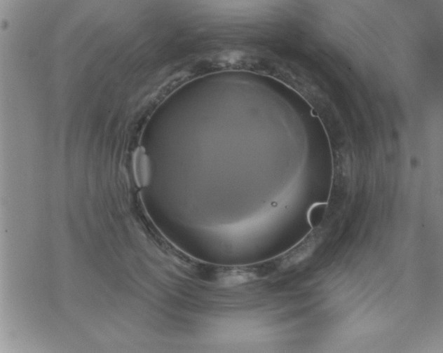 X0000075900754200609221936