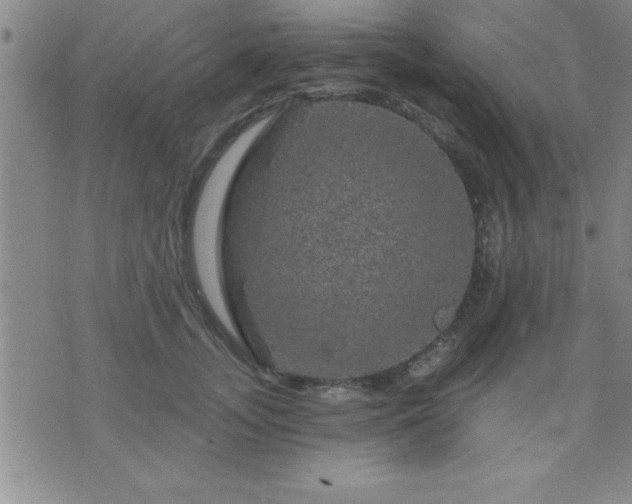 X0000075900755200609221936