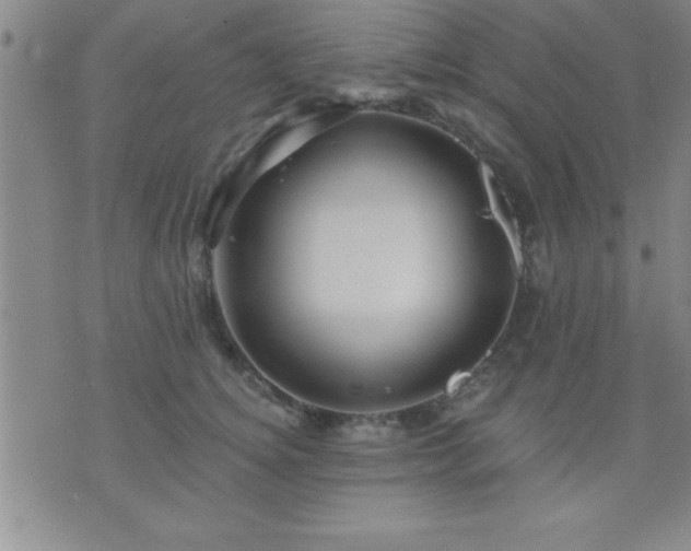 X0000075900756200609221936