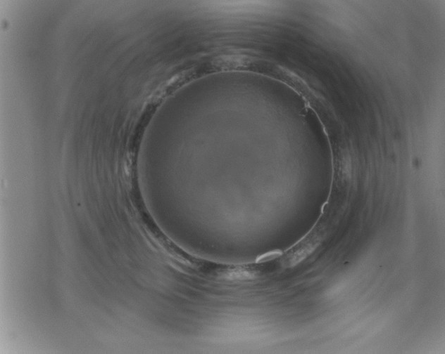 X0000075900759200609221936