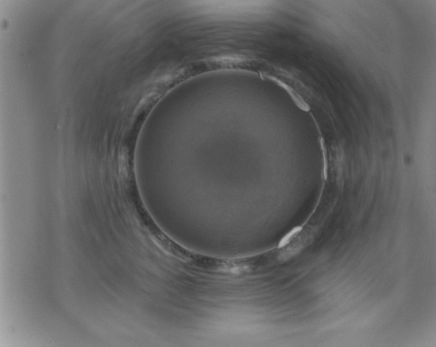 X0000075900760200609221936