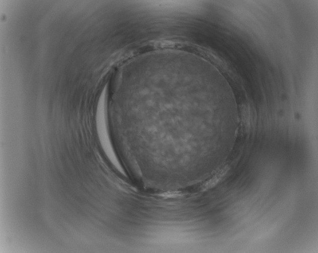 X0000075900761200609221936