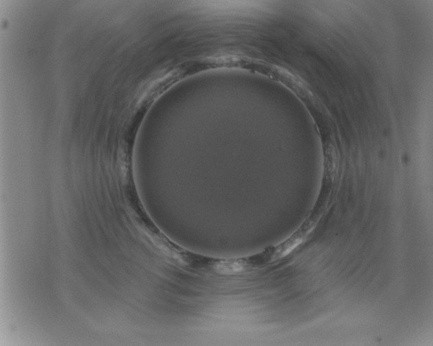 X0000075900762200609221936