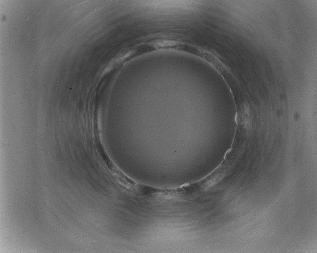 X0000075900763200609221936