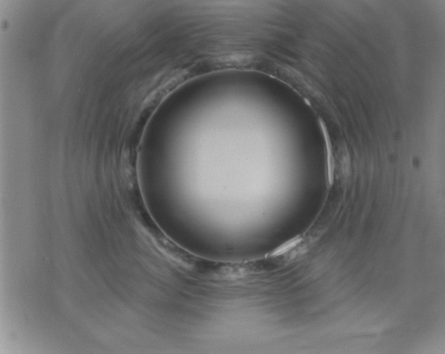 X0000075900764200609221936