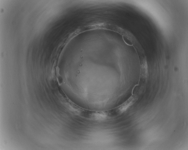 X0000075900765200609221936