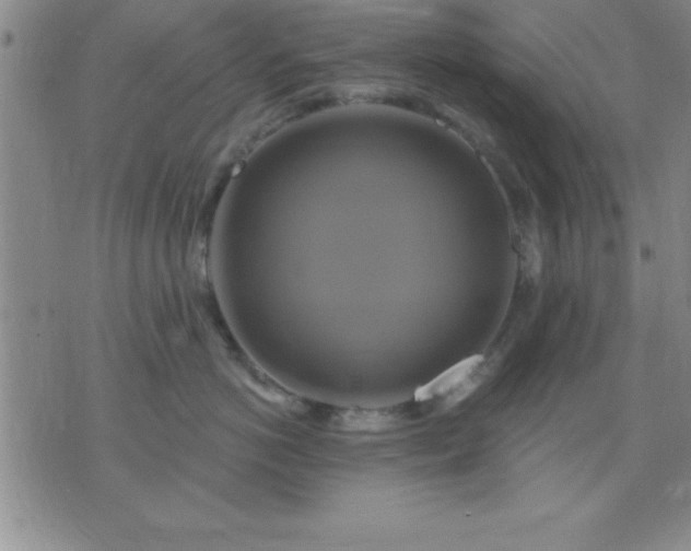 X0000075900766200609221936