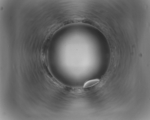 X0000075900768200609221936