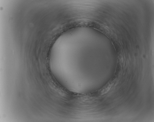 X0000075900769200609221936