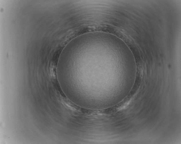 X0000075900770200609221936