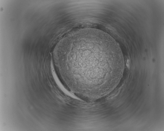 X0000075900771200609221936