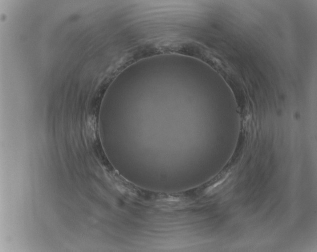 X0000075900772200609221936