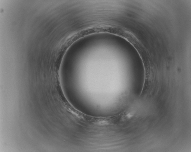 X0000075900773200609221936