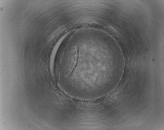 X0000075900774200609221936