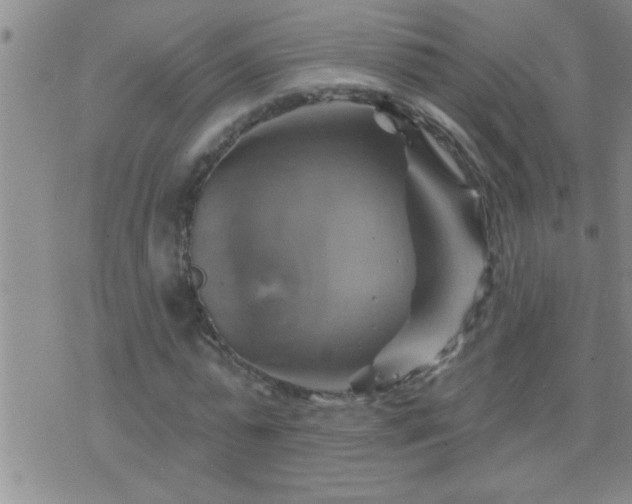 X0000075900775200609221936