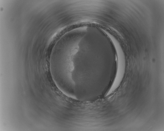 X0000075900776200609221936