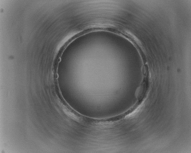 X0000075900779200609221936