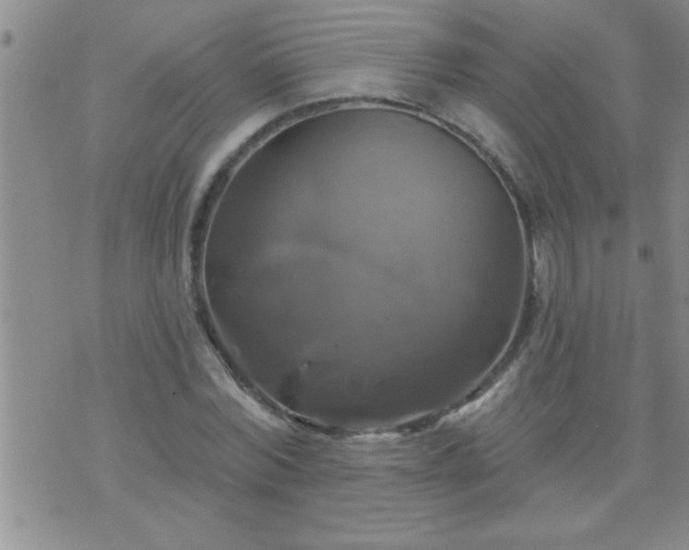 X0000075900780200609221936