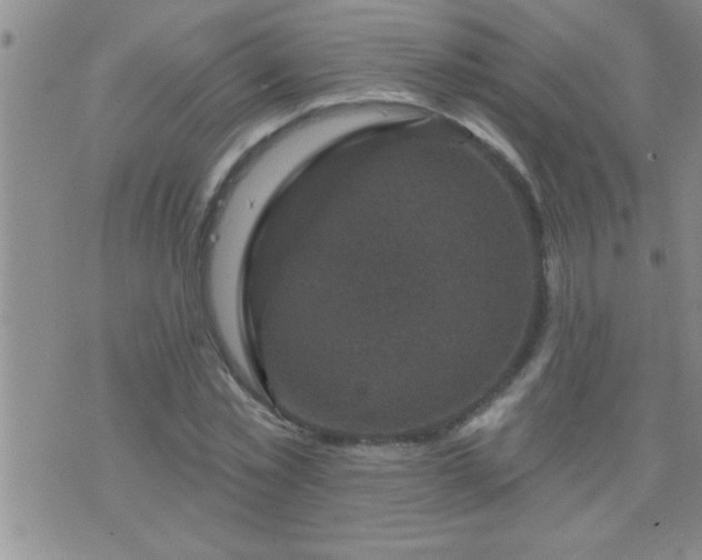 X0000075900781200609221935