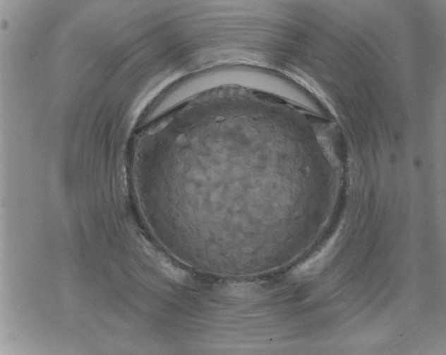 X0000075900782200609221935