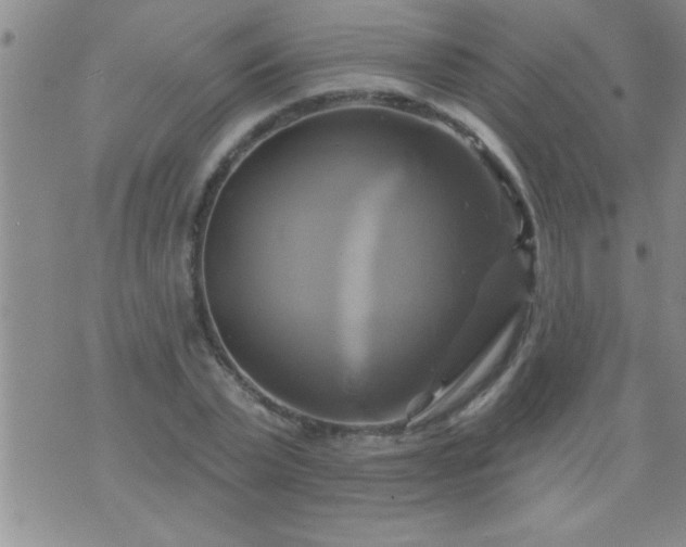 X0000075900783200609221935