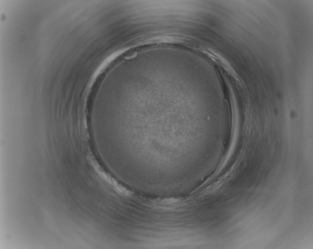 X0000075900784200609221935