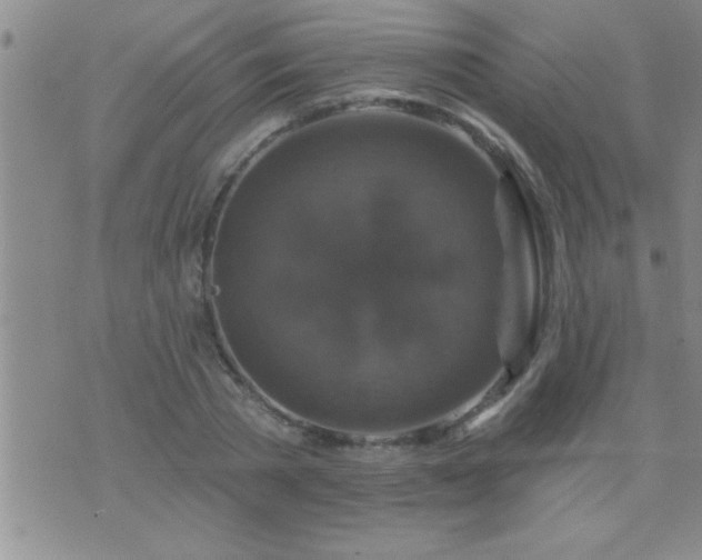 X0000075900785200609221935