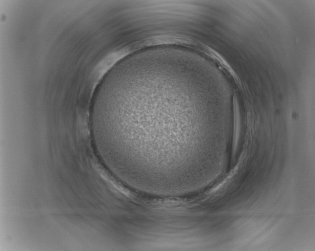 X0000075900786200609221935