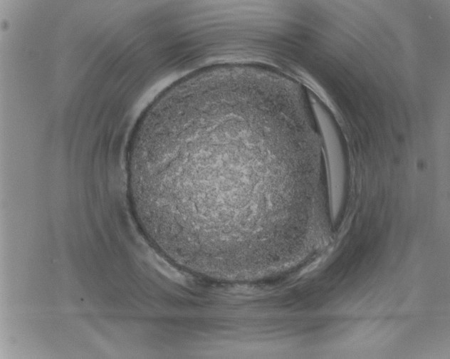 X0000075900787200609221935