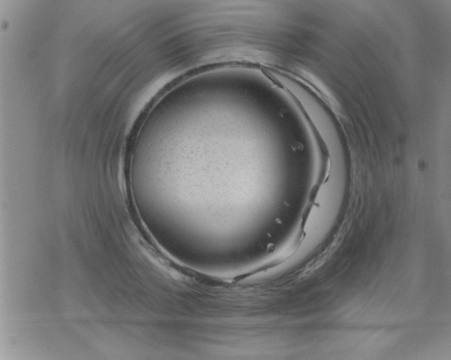 X0000075900788200609221935