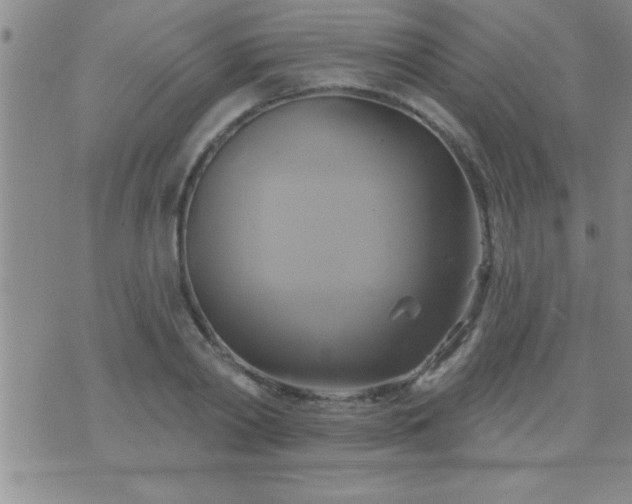 X0000075900790200609221935