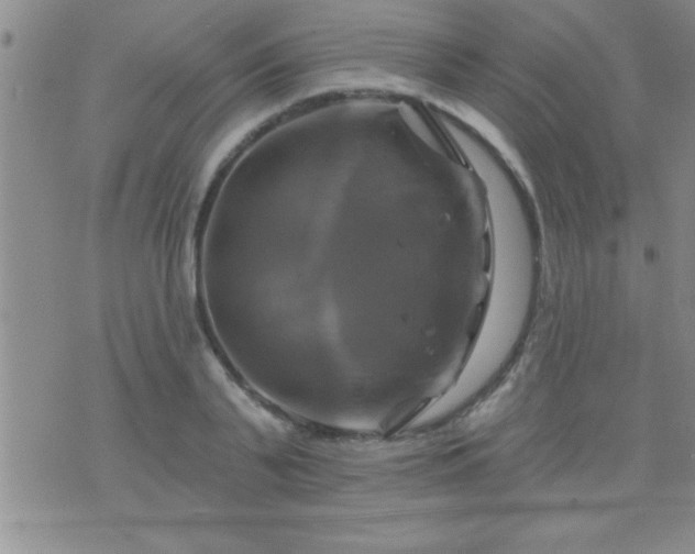 X0000075900791200609221935