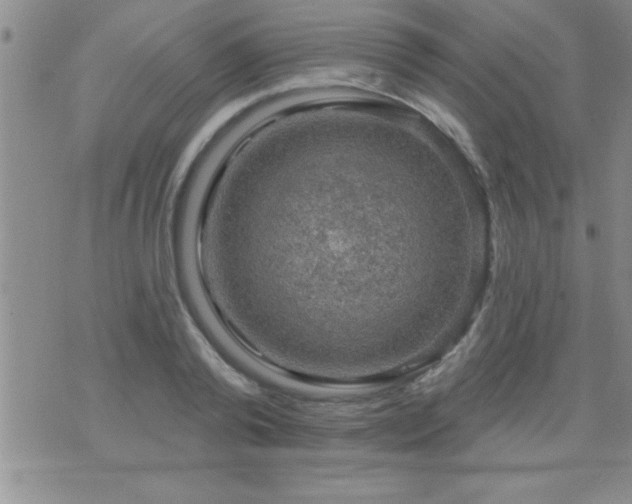 X0000075900792200609221935