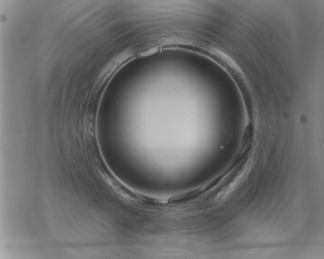 X0000075900793200609221935