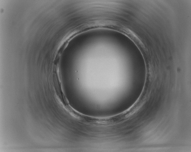 X0000075900794200609221935