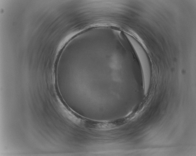 X0000075900795200609221935