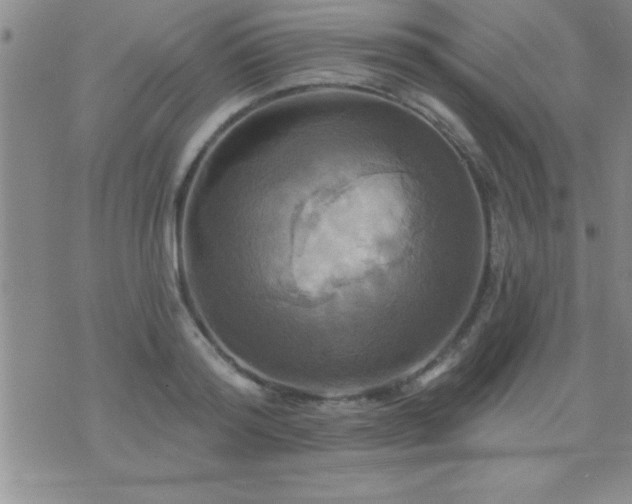 X0000075900796200609221935