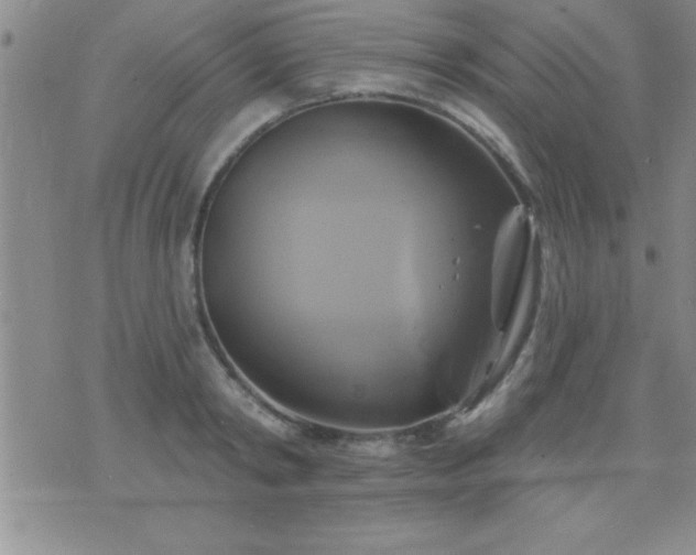 X0000075900798200609221935