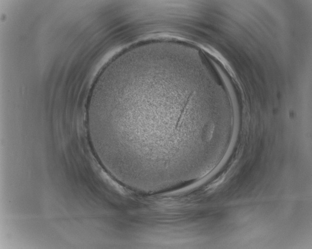 X0000075900799200609221935