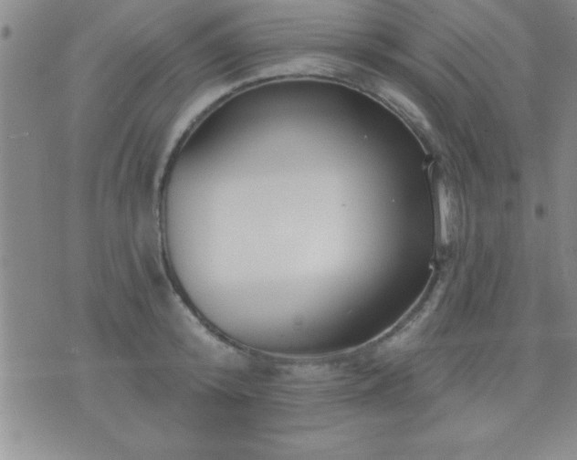 X0000075900800200609221935