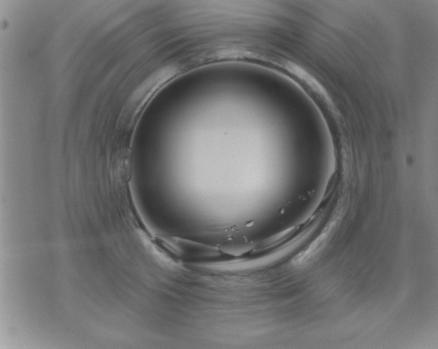 X0000075900801200609221935