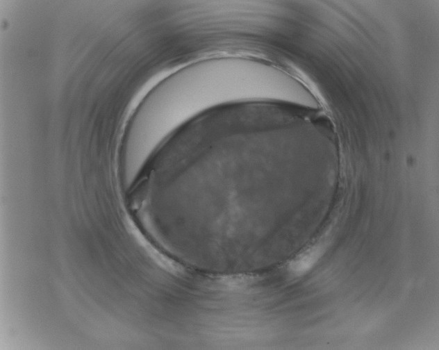 X0000075900803200609221935