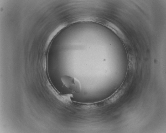 X0000075900804200609221935